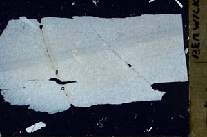 Cross Polarized, S46637