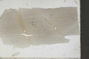 Plane Polarized, S46637