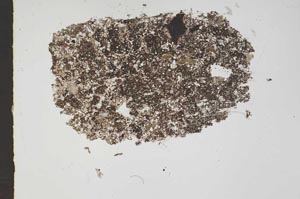 Plane Polarized, S46678