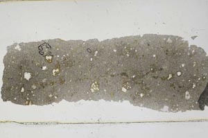 Plane Polarized, S46679