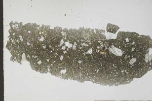 Plane Polarized, S46680