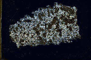 Cross Polarized, S46682