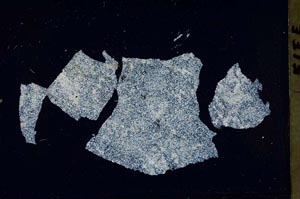 Cross Polarized, S46686