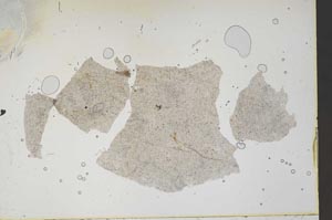 Plane Polarized, S46686