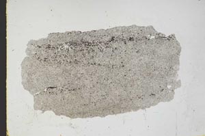 Plane Polarized, S46687