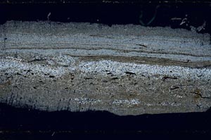 Cross Polarized, S46693