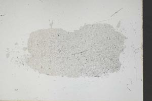 Plane Polarized, S46694