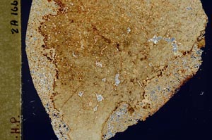 Cross Polarized, S46702/A