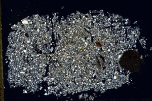 Cross Polarized, S46708