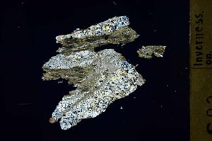 Cross Polarized, S46754