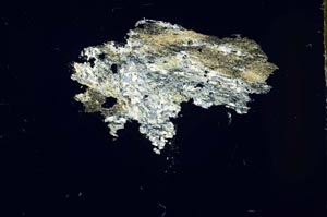 Cross Polarized, S46755