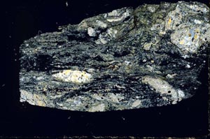 Cross Polarized, S46756