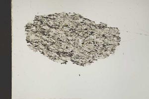 Plane Polarized, S46757