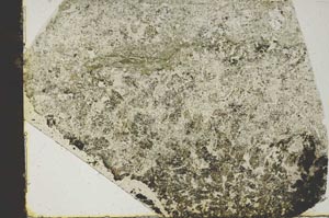 Plane Polarized, S46760