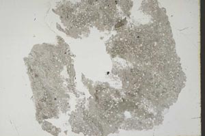 Plane Polarized, S46815