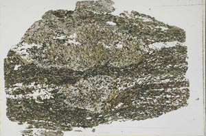 Plane Polarized, S46821