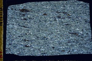 Cross Polarized, S46829