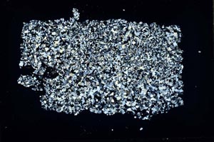 Cross Polarized, S46832