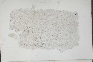 Plane Polarized, S46832