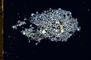 Cross Polarized, S46833