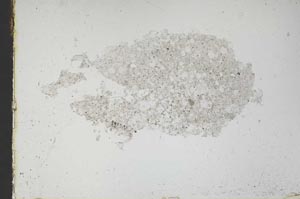 Plane Polarized, S46833