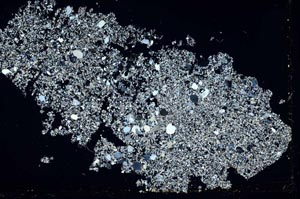 Cross Polarized, S46834