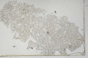 Plane Polarized, S46834