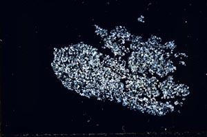 Cross Polarized, S46835