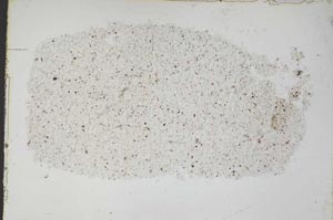 Plane Polarized, S46836