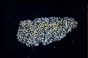 Cross Polarized, S46837