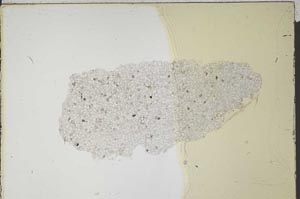 Plane Polarized, S46837