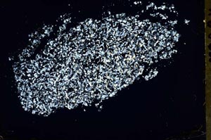 Cross Polarized, S46838