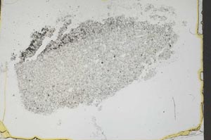 Plane Polarized, S46838