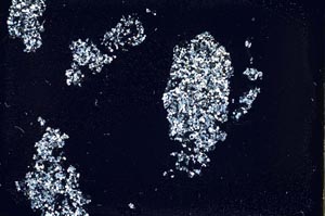 Cross Polarized, S46839