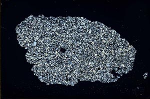 Cross Polarized, S46840