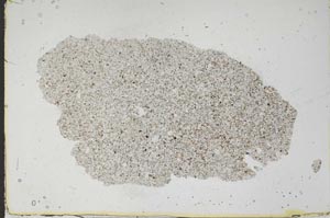 Plane Polarized, S46840