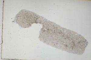 Plane Polarized, S46841