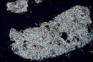 Cross Polarized, S46842