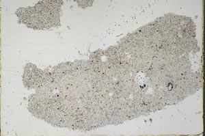 Plane Polarized, S46842