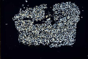 Cross Polarized, S46843