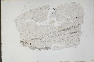 Plane Polarized, S46843