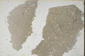 Plane Polarized, S46844