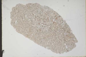 Plane Polarized, S46845