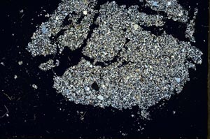 Cross Polarized, S46846