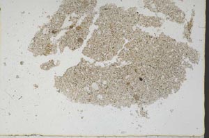 Plane Polarized, S46846