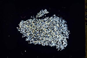 Cross Polarized, S46847