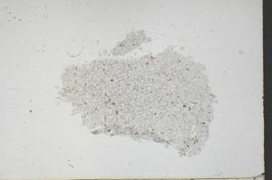 Plane Polarized, S46847