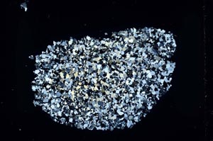 Cross Polarized, S46848