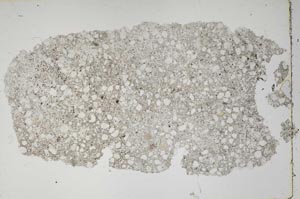 Plane Polarized, S46849