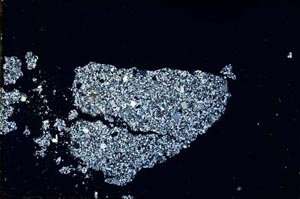 Cross Polarized, S46850